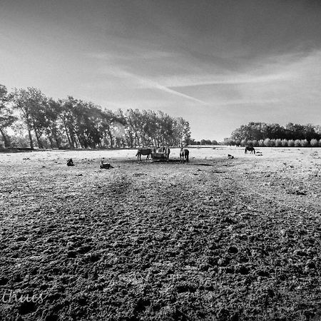 Bed & Breakfast De Bimd Hoeve De Bus Bagian luar foto