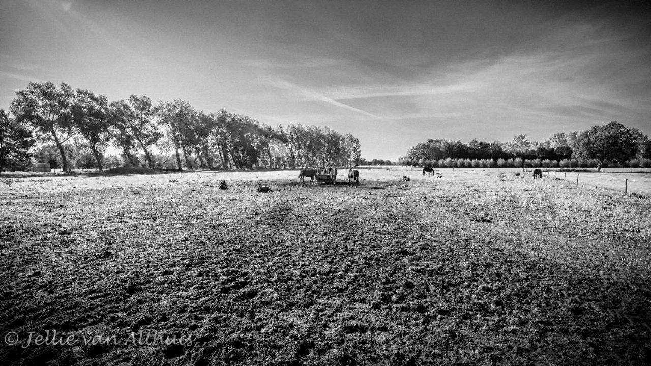 Bed & Breakfast De Bimd Hoeve De Bus Bagian luar foto